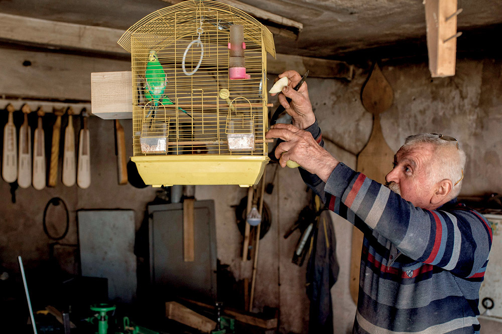 Ağaca Ses Veren Usta