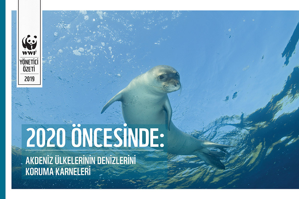 Akdeniz Korunmuyor!