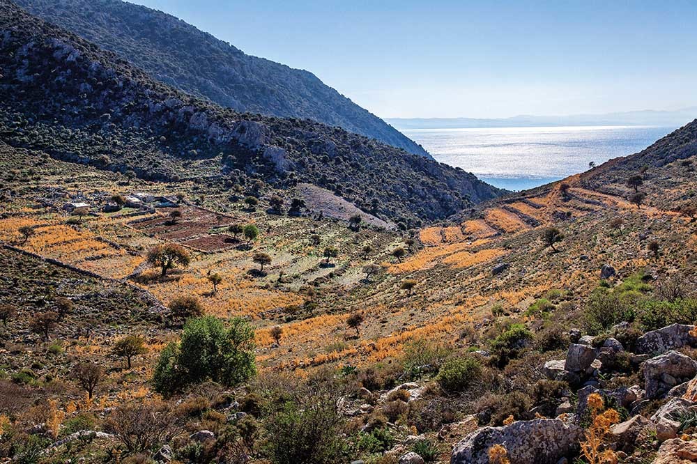 Bozburun / Taşlıca Köyü: Kapağın Sırrı