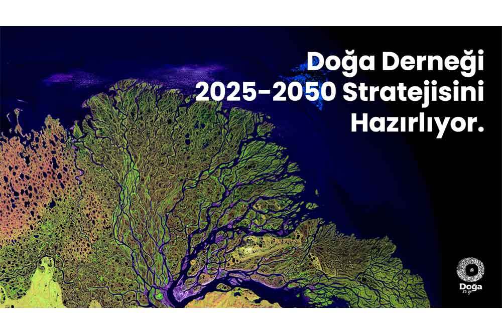 Doğa Derneği 2025-2050 Stratejisi