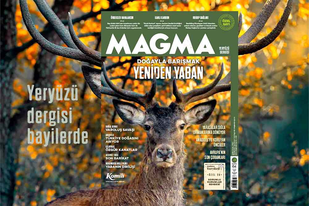 Doğayla Barışmak