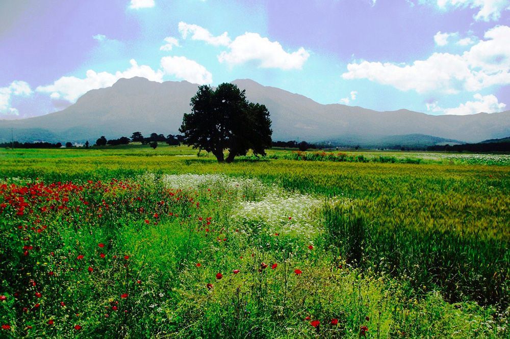 En Uzun Bahar