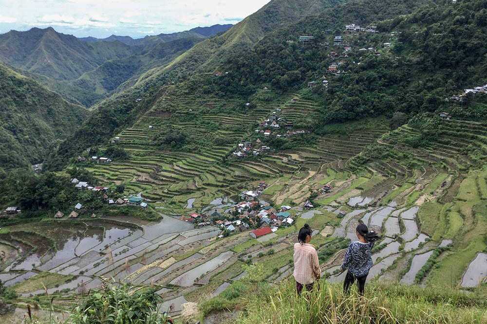 Filipinler: Pirinç Ülke