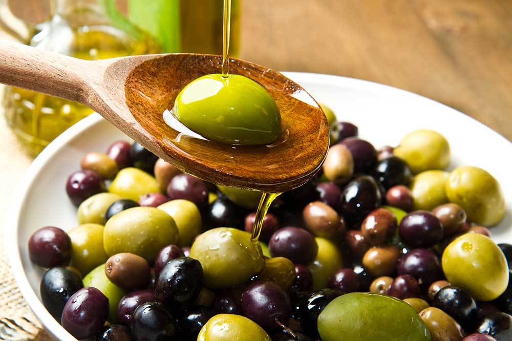 Gezgin Damaklar ile Zeytin Hasadı Festivali