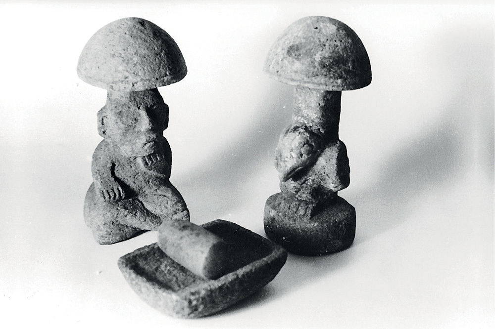 İnsan Zihninin Sınırında Mayalar