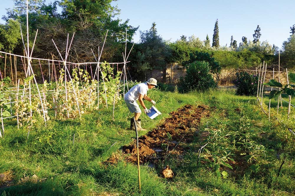 İşgal Bahçecilik