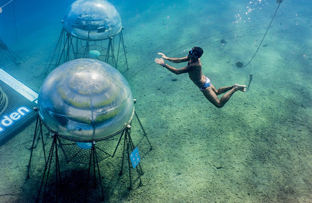 İtalya Sualtında Tarım: Geleceğin Tarlaları 