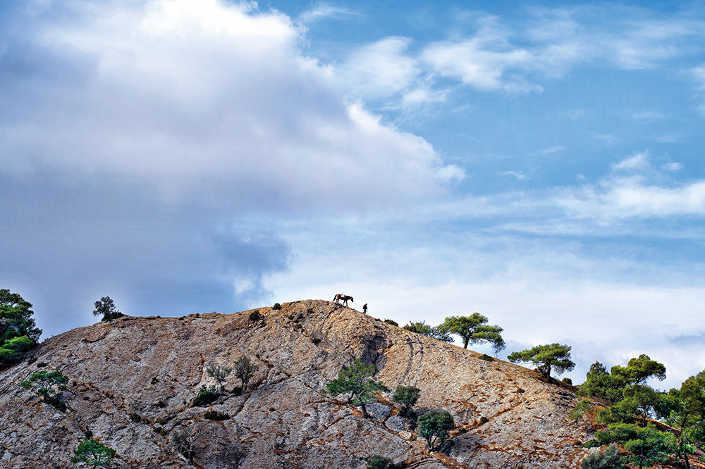 Kadim Üretim Havzaları: Kurda Kuşa Aşa
