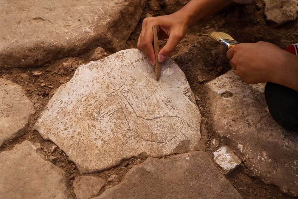 Karahantepe'de Yeni Keşif