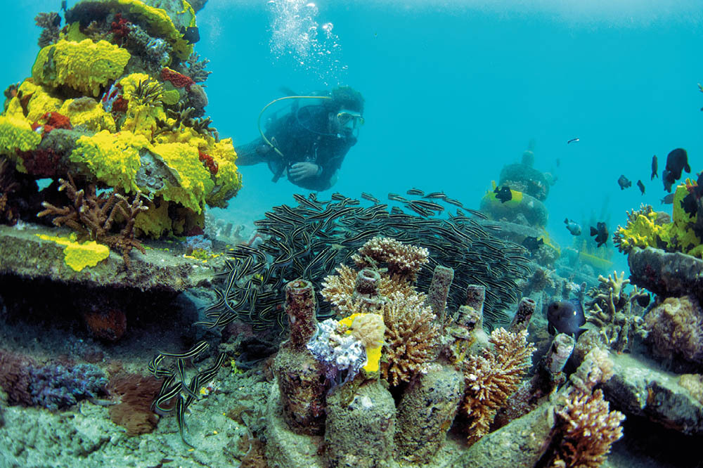 Kenya Kisite Milli Parkı: Mercan Gezegeni