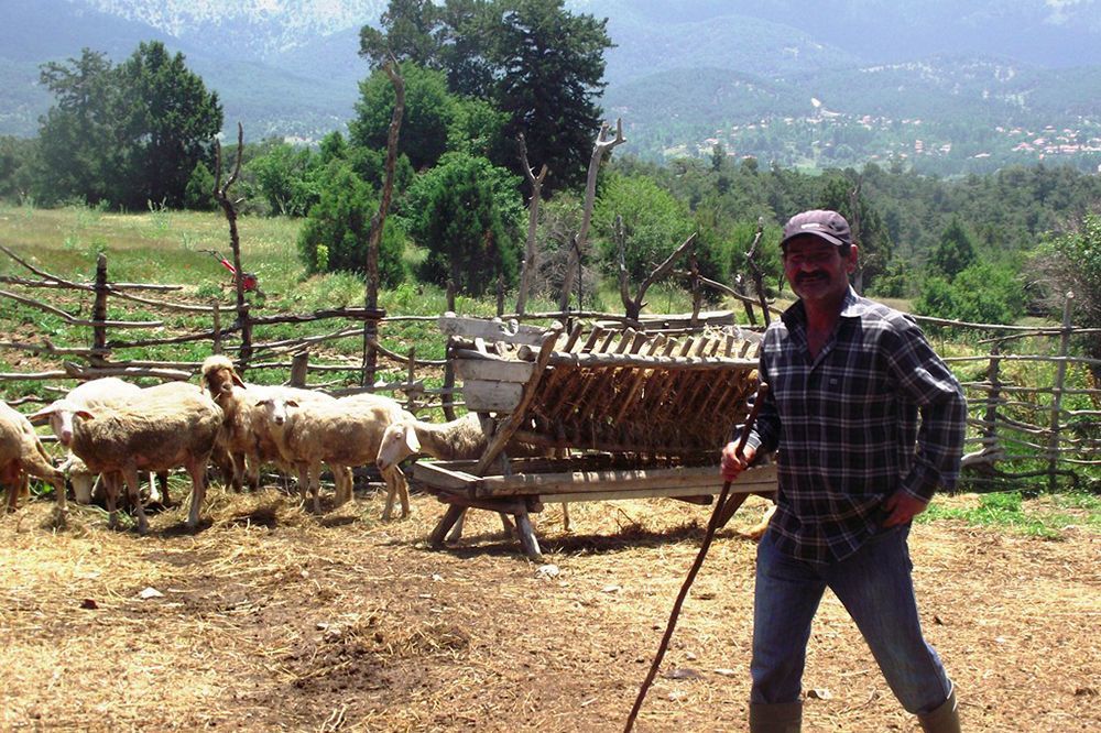 Memurken Jack London'u Okudu, Çoban Olmaya Karar Verdi