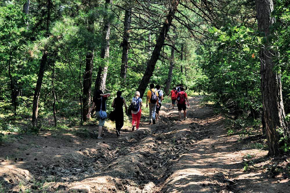 Mysia Yolları