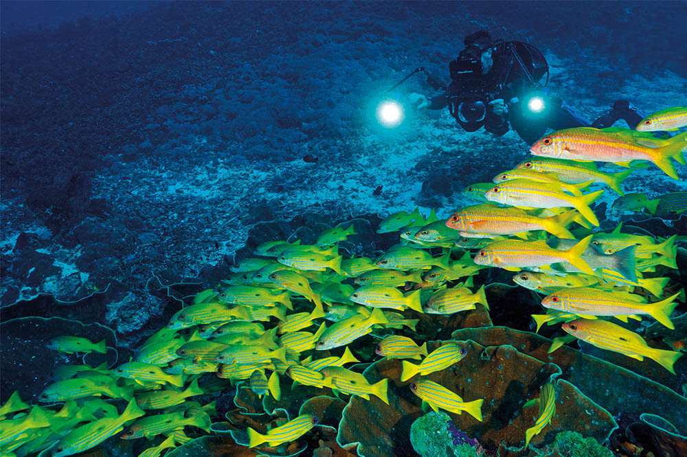 Raja Ampat Adaları’nın Sürdürülebilirliği