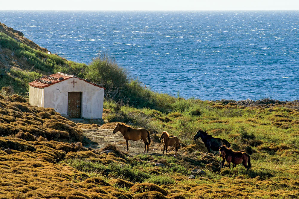 Rüzgârın Kanatlarında, Gökçeada