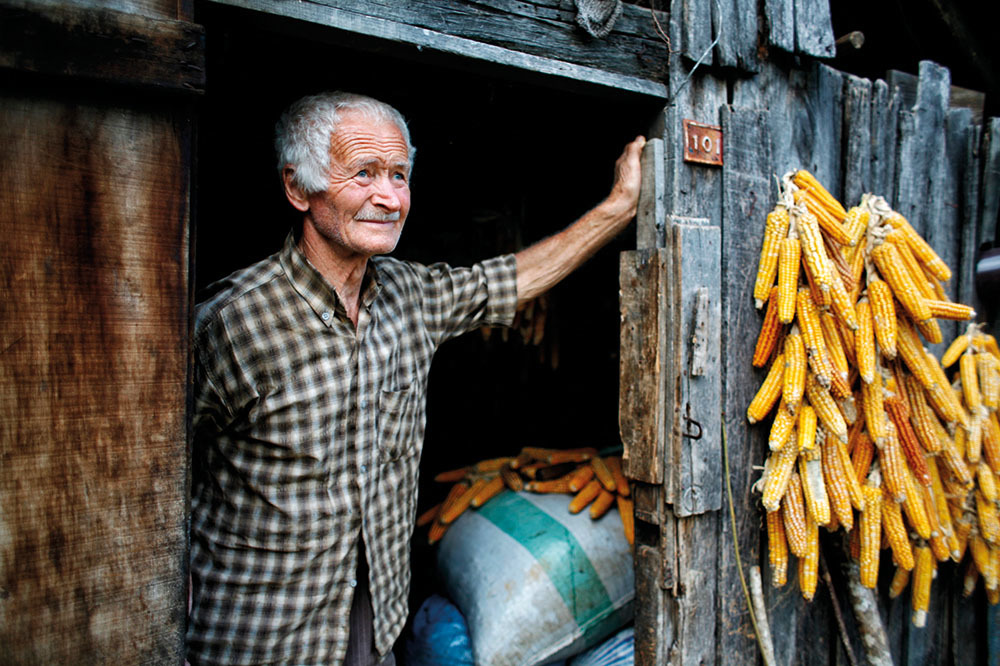 Sessiz Kuşağın Peşinde