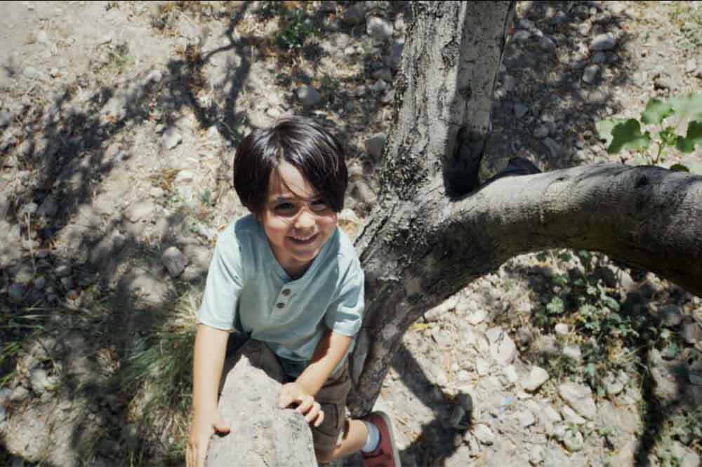 Son Ağaç