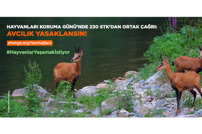 230 STK’dan Ortak Çağrı: Avcılık Yasaklansın