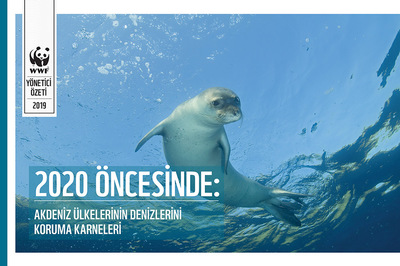 Akdeniz Korunmuyor!