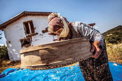Anadolu’nun Dili Krizden Korur
