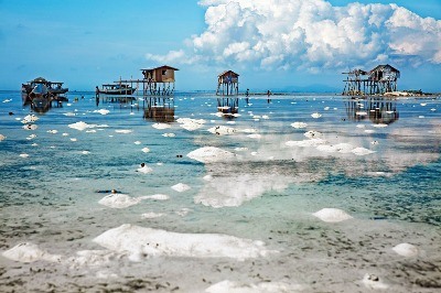 Bajaular, Su Dünyası