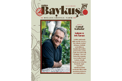 Baykuş: Salgın Ve Irk Yarası