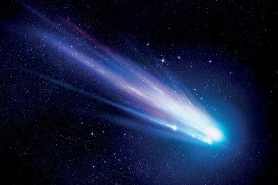 Beyaz Cücelerin Peşinde