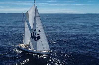 Blue Panda, Mavi Ormanlar için Türkiye’ye Yelken Açtı