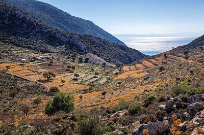 Bozburun / Taşlıca Köyü: Kapağın Sırrı