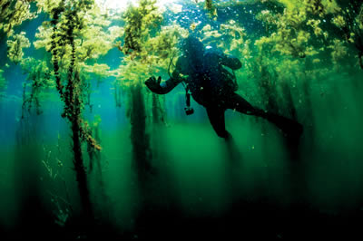 Büyük Menderes, Yaşamın Kaynağı

