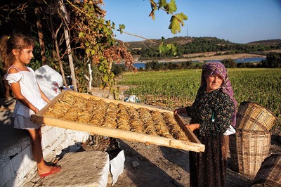 Büyükanne, Büyükbaba ve İletişim