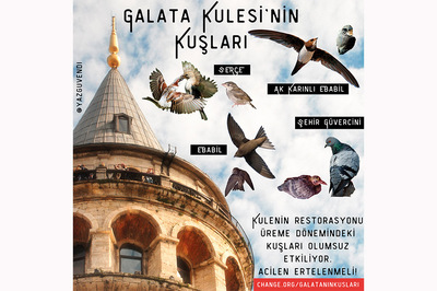 change.org: Değişime İnan