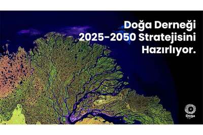 Doğa Derneği 2025-2050 Stratejisi