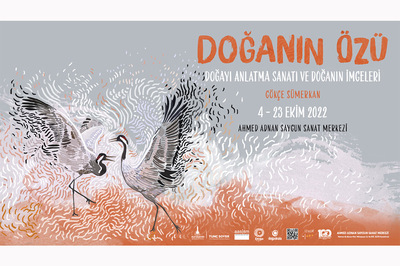 Doğanın Dili