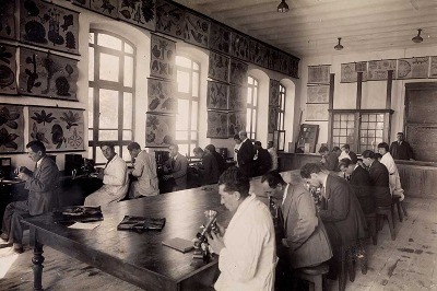 Eczacının Sergisi