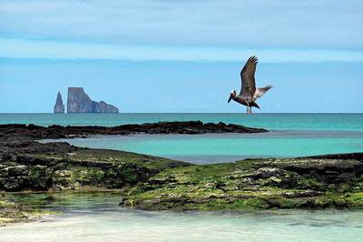 Evrim Yolu, Ekvador'dan Galapagoslara
