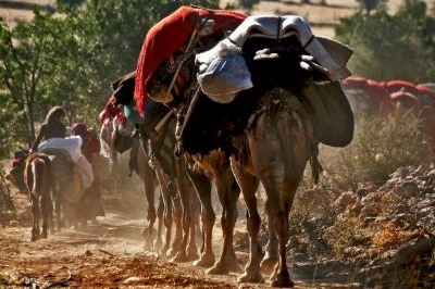 Gerçeği Yok Olurken, Sahtesine Milyonlar Harcanıyor