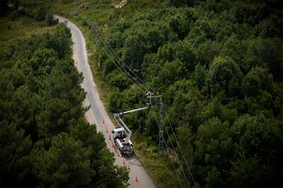 Göçmen Kuşlar İçin Yalıtımlı Hatlar