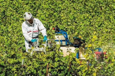 İnsan Çağında Böcekler