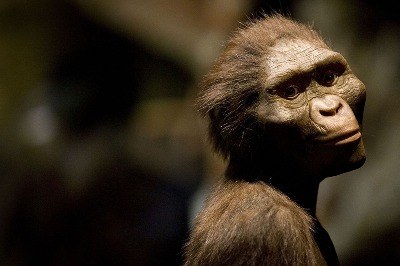 İnsanı Aramak Homo Naledi