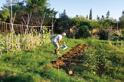 İşgal Bahçecilik
