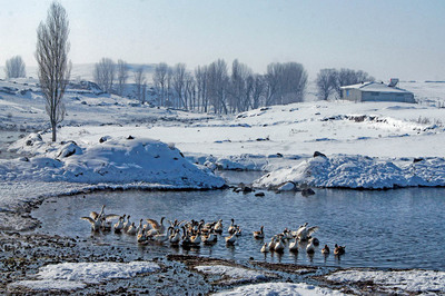 Kars / Oğuzlu Köyü Kilisesi: Bin Yıllık Anı
