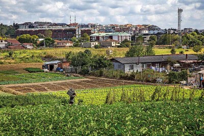Kent Tarımı / İstanbul: Ne Ektik Ne Biçtik