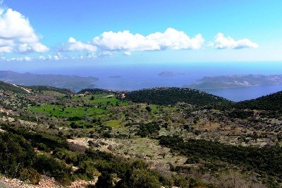 Likya Kaş Orkideleri Ranta Dayanabilecek mi?