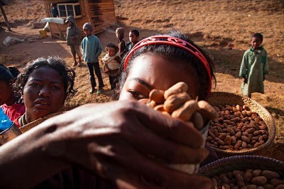 Madagaskar Dünyanın En Yoksul Ülkeleri Arasında