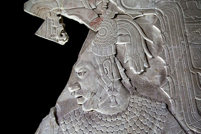 Maya Evreni: Ormandaki Zaman Yolculuğu