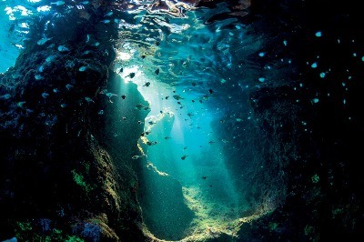 Risk Altında Akdeniz