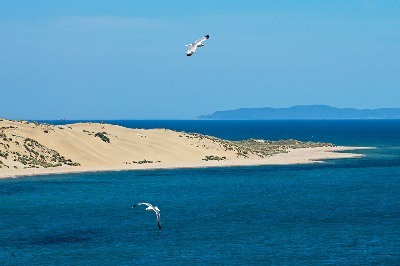 Rüzgârın Krallığı Gökçeada