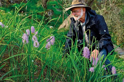 Sukkulent ve Geofitler: En Güçlü Çiçekler