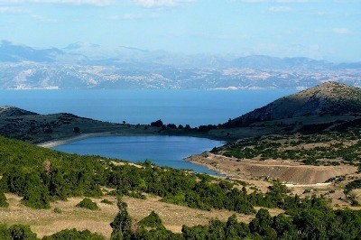 Türkiye Balıklarını Yitiriyor 