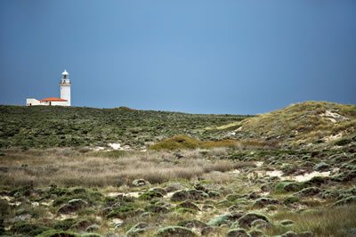 Yaban Kıyılar Adası, Bozcaada